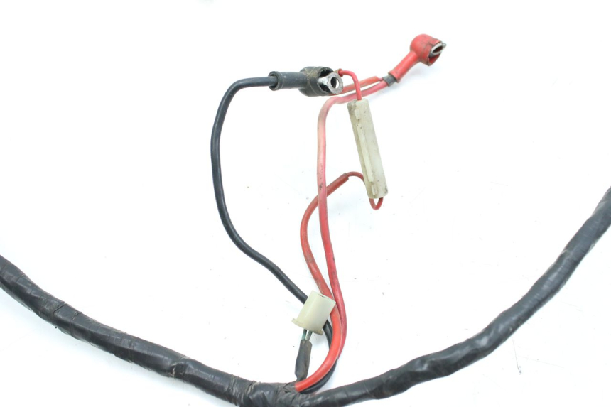 photo de WIRING HARNESS NECO AZZURO 4T 50 (2020 - 2023)