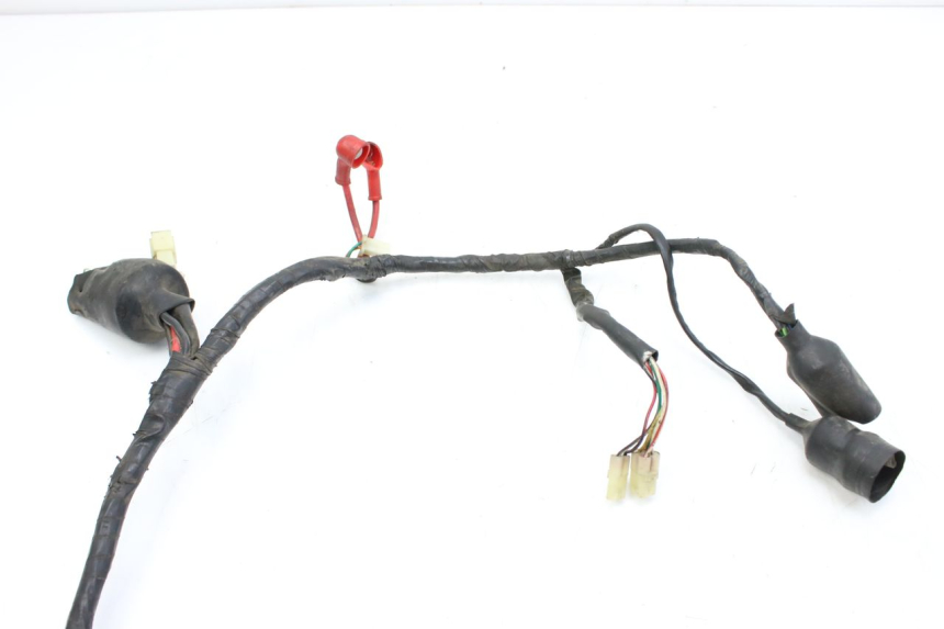 photo de WIRING HARNESS NECO AZZURO 4T 50 (2020 - 2023)