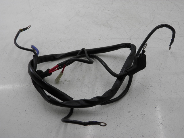 photo de BATTERY WIRE HARNESS LML DLX 2T 125 (2008) - Main view