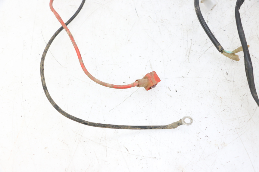 photo de WIRE HARNESS KEROX BAZOOKA 110