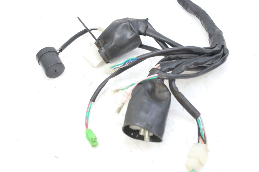 photo de WIRING HARNESS WILDLANDER BISCUIT 125 (2004 - 2010)
