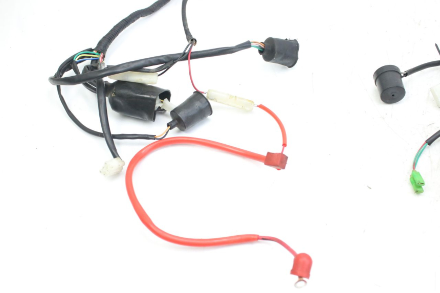 photo de WIRING HARNESS WILDLANDER BISCUIT 125 (2004 - 2010)