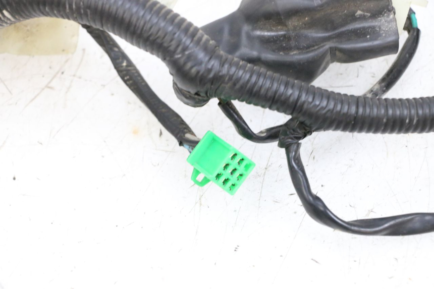 photo de WIRE HARNESS MAG POWER BOMBERS 4T 50 (2016 - 2026) - Surface and material condition