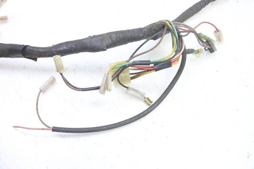 photo de WIRING HARNESS MBK BOOSTER NEXT GENERATION 50 (1995 - 1998)