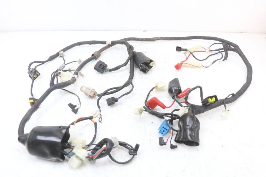 photo de WIRE HARNESS TNT MOTOR BOSTON 4T 50 (2018 - 2025)