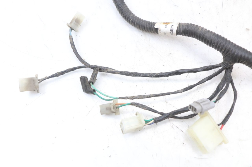 photo de WIRE HARNESS TNT MOTOR BOSTON 4T 50 (2018 - 2025)