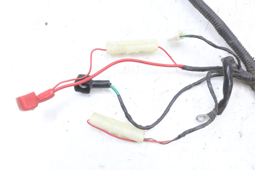 photo de WIRE HARNESS TNT MOTOR BOSTON 4T 50 (2018 - 2025)
