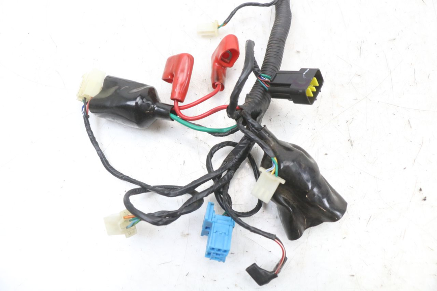 photo de WIRE HARNESS TNT MOTOR BOSTON 4T 50 (2018 - 2025)