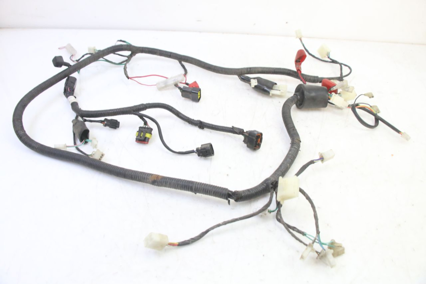 photo de WIRE HARNESS TNT MOTOR BOSTON 4T 50 (2018 - 2025)
