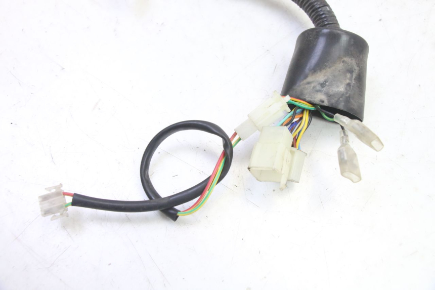 photo de WIRE HARNESS TNT MOTOR BOSTON 4T 50 (2018 - 2025)