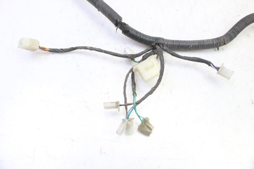 photo de WIRE HARNESS TNT MOTOR BOSTON 4T 50 (2018 - 2025)