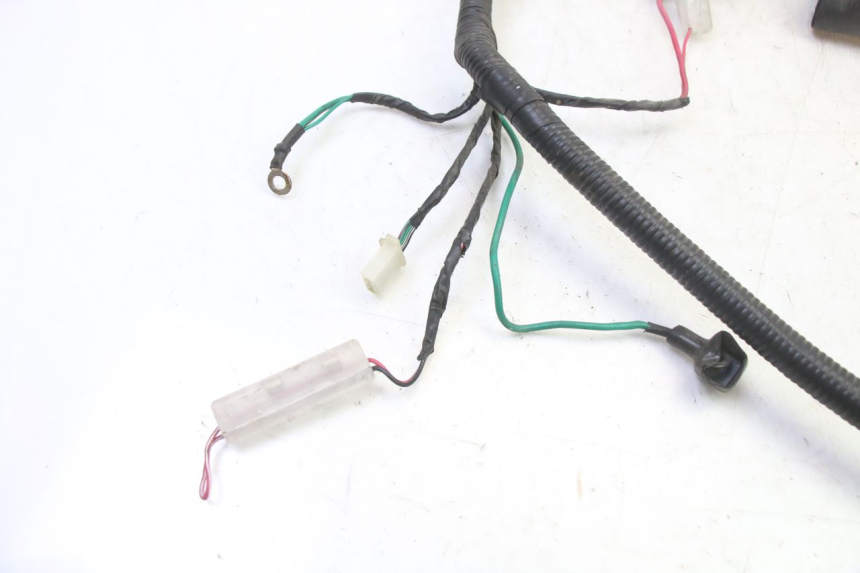 photo de WIRE HARNESS TNT MOTOR BOSTON 4T 50 (2018 - 2025)