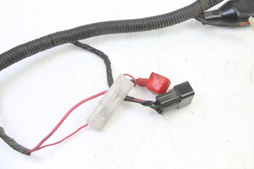 photo de WIRE HARNESS TNT MOTOR BOSTON 4T 50 (2018 - 2025)