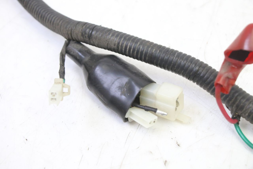 photo de WIRE HARNESS TNT MOTOR BOSTON 4T 50 (2018 - 2025)