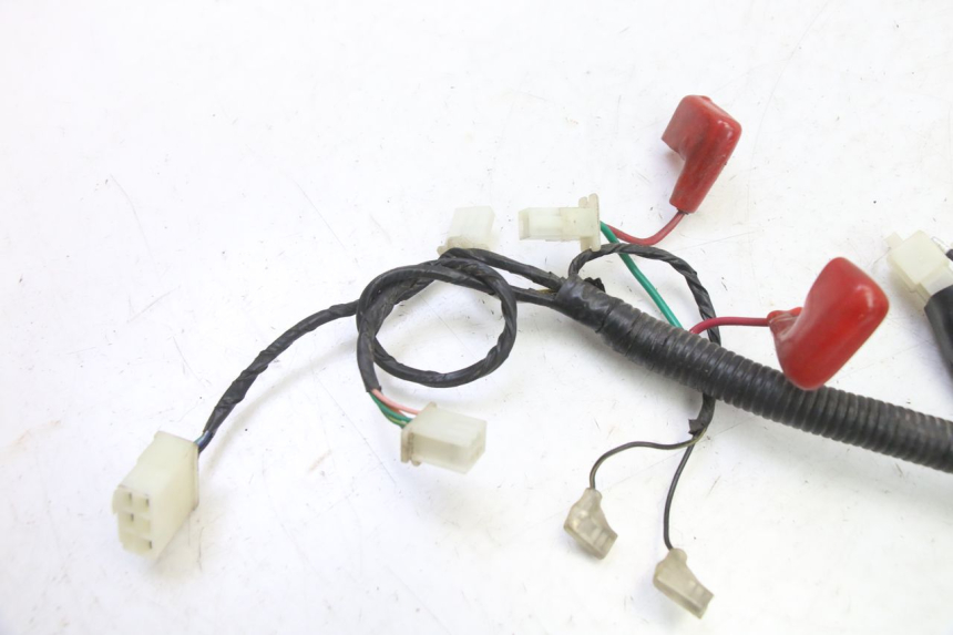 photo de WIRE HARNESS TNT MOTOR BOSTON 4T 50 (2018 - 2025)