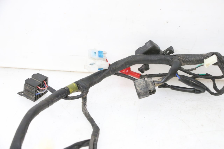 photo de WIRE HARNESS MOTRON BREEZY 4T 50 (2021 - 2025)
