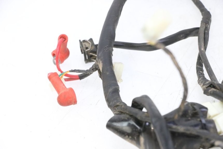 photo de WIRE HARNESS MOTRON BREEZY 4T 50 (2021 - 2025)