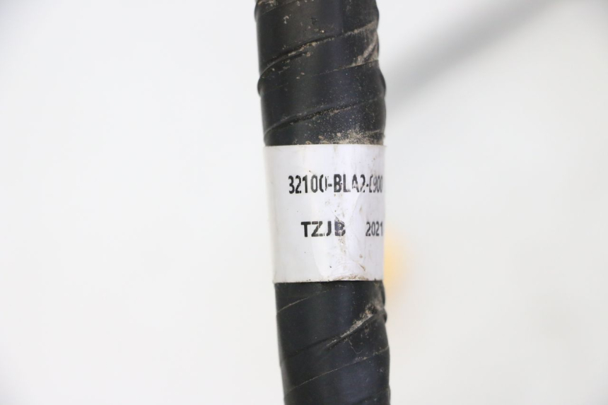 photo de WIRE HARNESS MOTRON BREEZY 4T 50 (2021 - 2025)