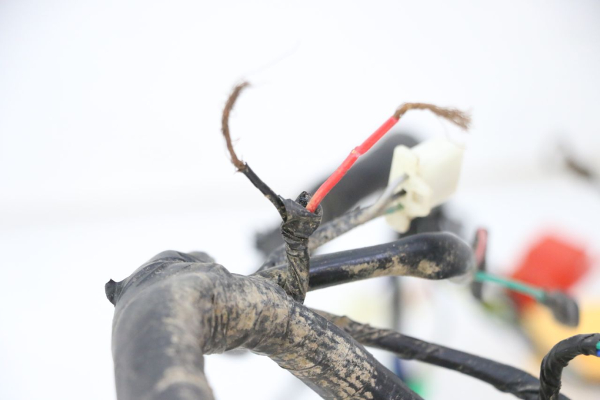 photo de WIRE HARNESS MOTRON BREEZY 4T 50 (2021 - 2025)