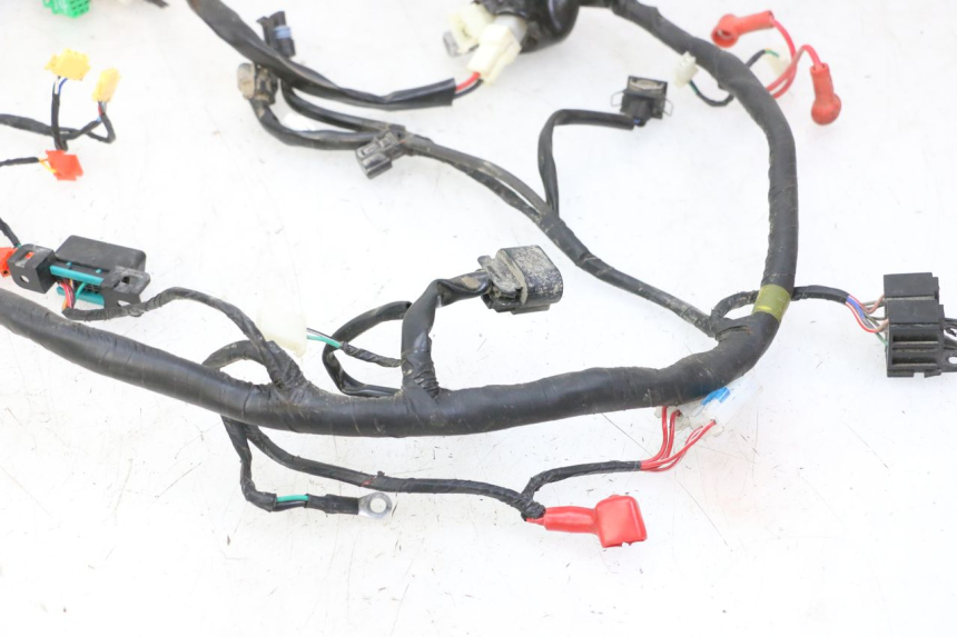 photo de WIRE HARNESS MOTRON BREEZY 4T 50 (2021 - 2025)