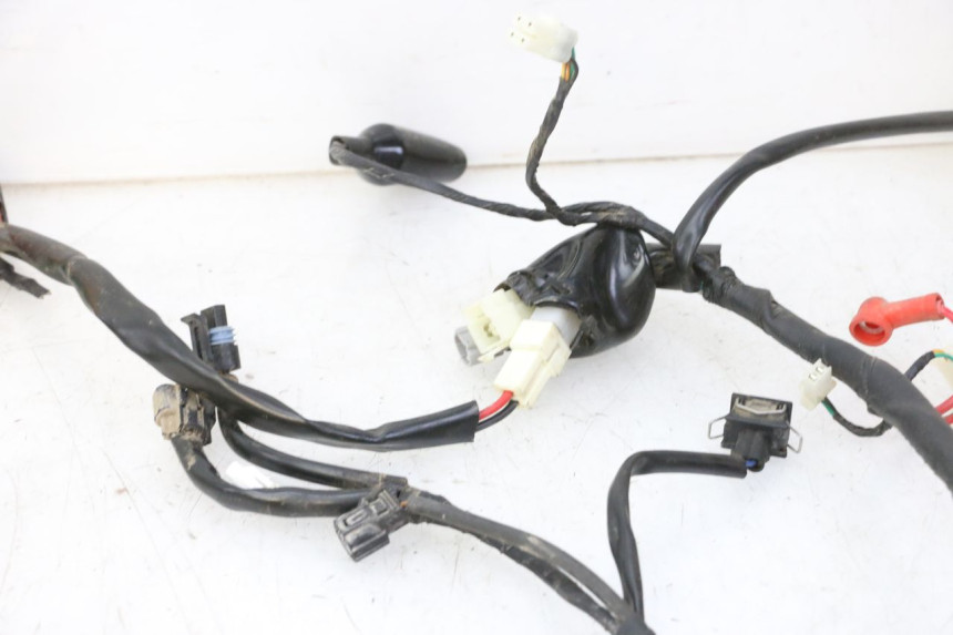 photo de WIRE HARNESS MOTRON BREEZY 4T 50 (2021 - 2025)