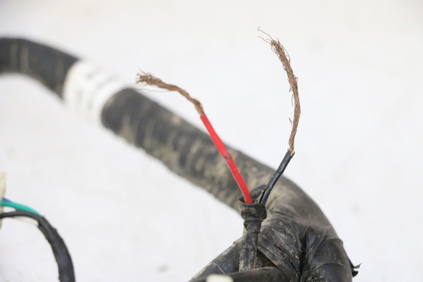 photo de WIRE HARNESS MOTRON BREEZY 4T 50 (2021 - 2025)