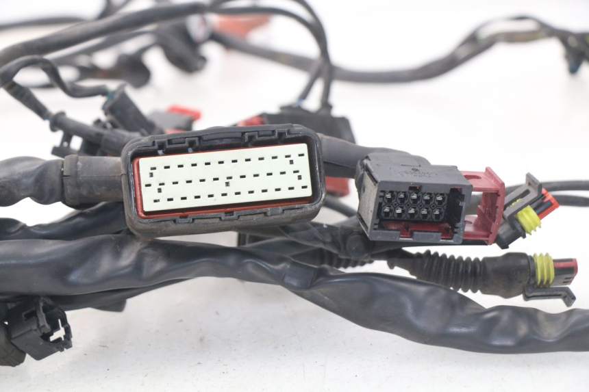 photo de WIRE HARNESS MV AGUSTA BRUTALE R WALLY 910 (2008 - 2008)