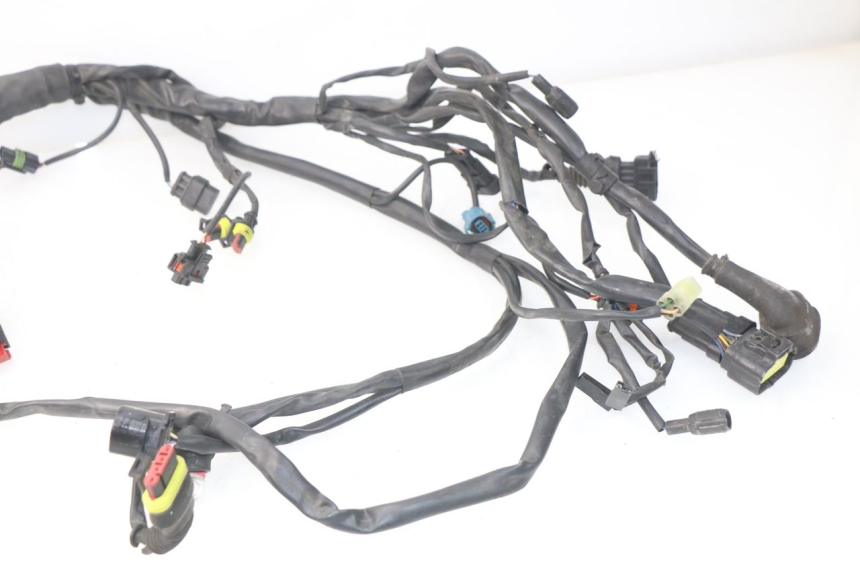 photo de WIRE HARNESS MV AGUSTA BRUTALE R WALLY 910 (2008 - 2008)