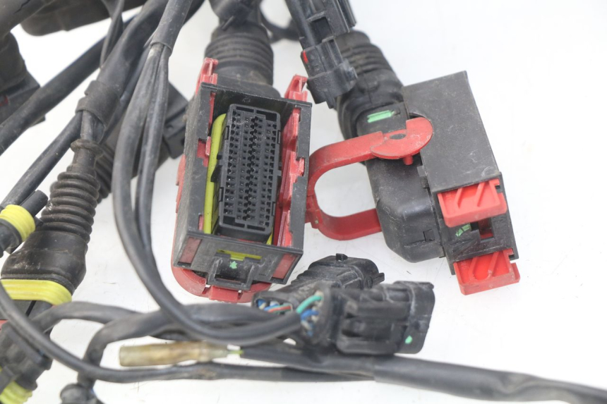 photo de WIRE HARNESS MV AGUSTA BRUTALE R WALLY 910 (2008 - 2008)