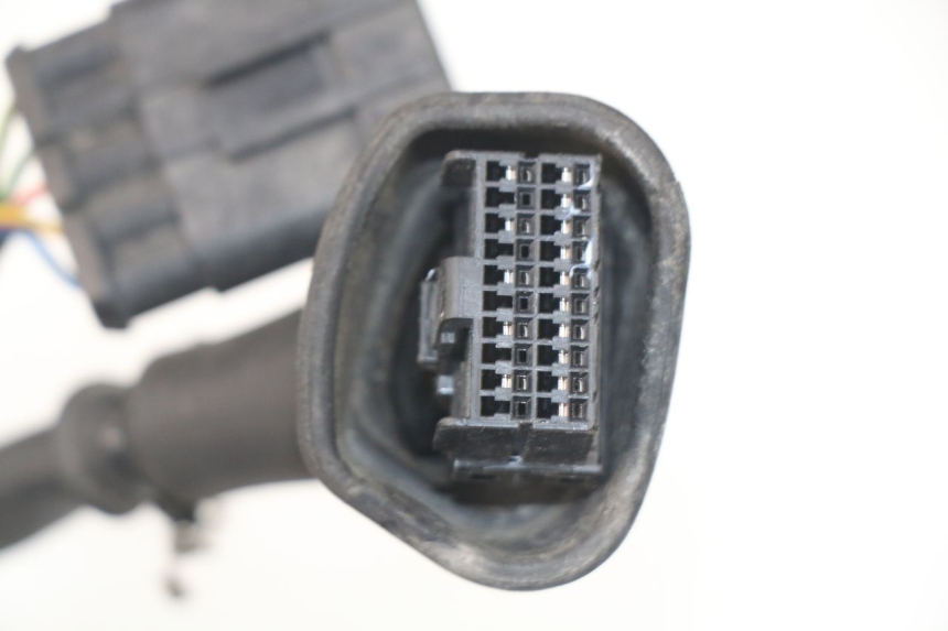 photo de WIRE HARNESS MV AGUSTA BRUTALE R WALLY 910 (2008 - 2008) - High-resolution close-up