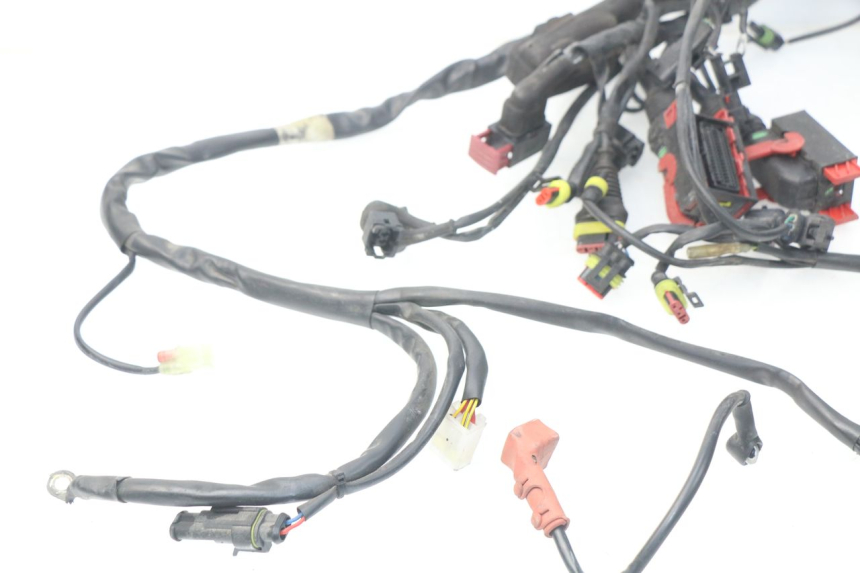 photo de WIRE HARNESS MV AGUSTA BRUTALE R WALLY 910 (2008 - 2008) - Alternative angle