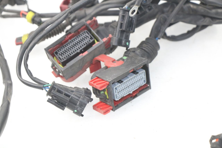 photo de WIRE HARNESS MV AGUSTA BRUTALE R WALLY 910 (2008 - 2008)