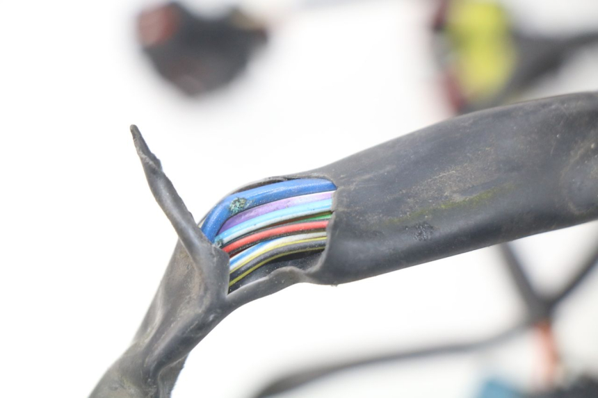 photo de WIRE HARNESS MV AGUSTA BRUTALE R WALLY 910 (2008 - 2008)