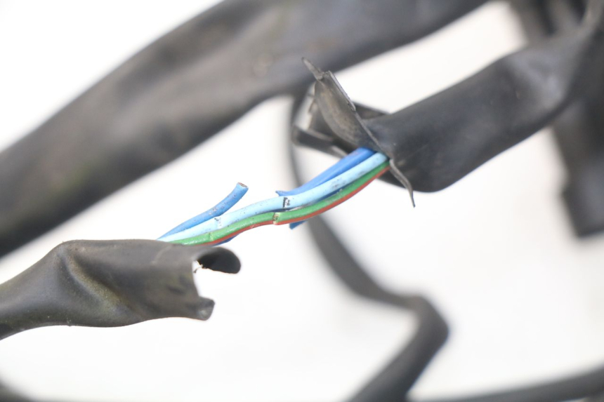 photo de WIRE HARNESS MV AGUSTA BRUTALE R WALLY 910 (2008 - 2008)