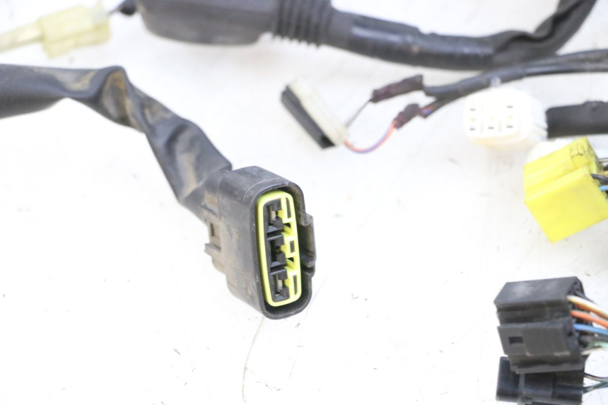 photo de WIRE HARNESS SUZUKI BURGMAN 650 (2013 - 2020)