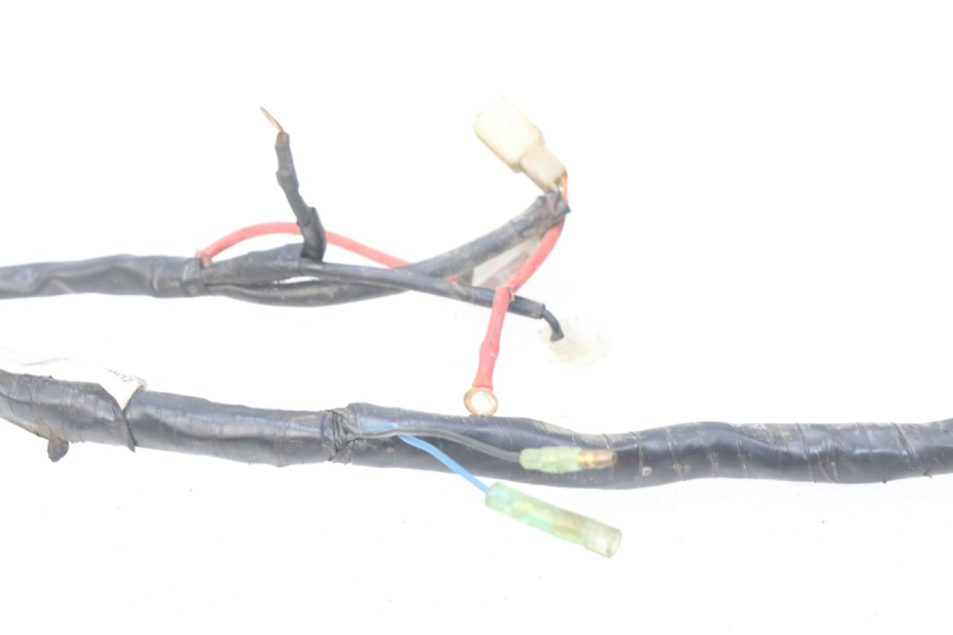 photo de WIRING HARNESS YAMAHA BW'S EASY 50 (2013 - 2016)
