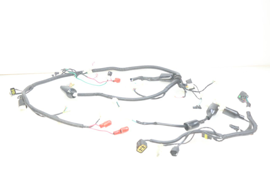 photo de WIRING HARNESS ORCAL CAVARO 4T 50 (2019 - 2023)