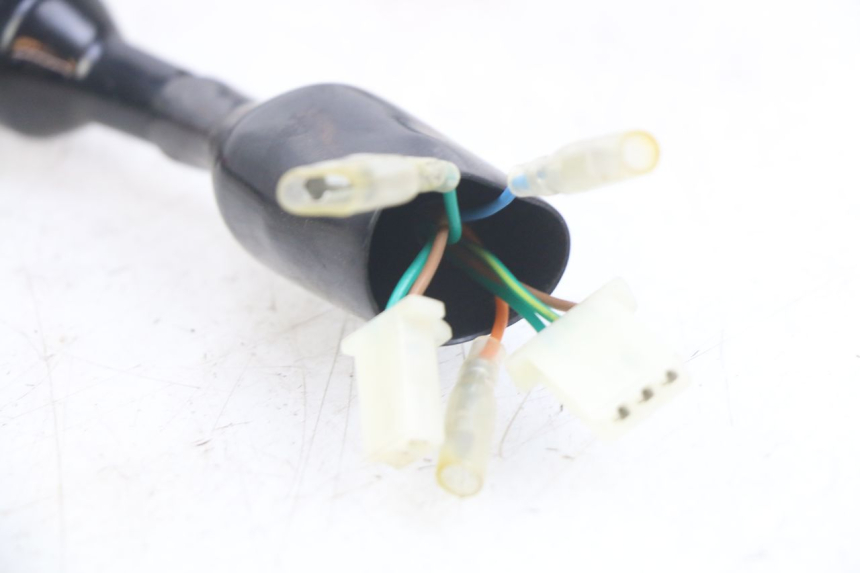 photo de WIRING HARNESS ORCAL CAVARO 4T 50 (2019 - 2023)