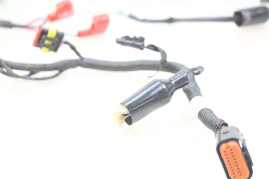 photo de WIRING HARNESS ORCAL CAVARO 4T 50 (2019 - 2023)