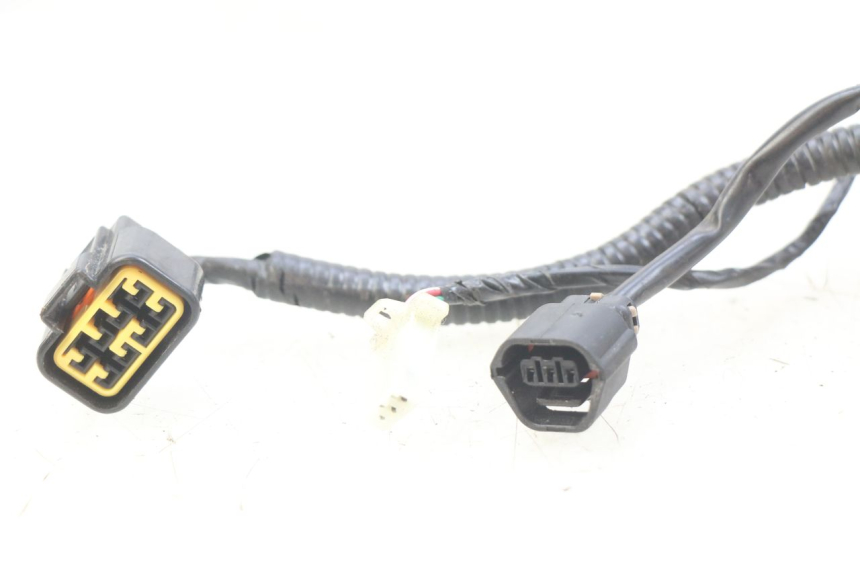 photo de WIRING HARNESS ORCAL CAVARO 4T 50 (2019 - 2023)