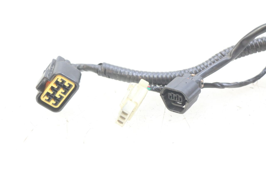 photo de WIRING HARNESS ORCAL CAVARO 4T 50 (2019 - 2023)