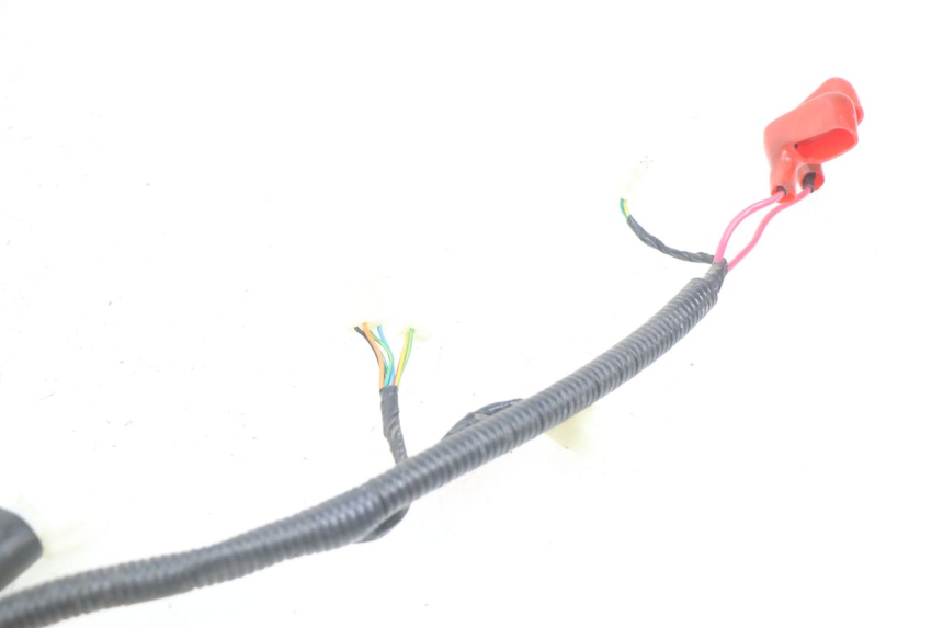 photo de WIRING HARNESS ORCAL CAVARO 4T 50 (2019 - 2023)