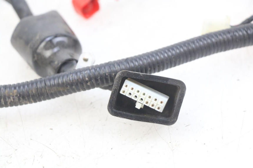 photo de WIRING HARNESS ORCAL CAVARO 4T 50 (2019 - 2023)