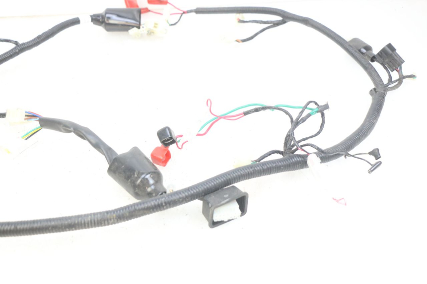 photo de WIRING HARNESS ORCAL CAVARO 4T 50 (2019 - 2023)