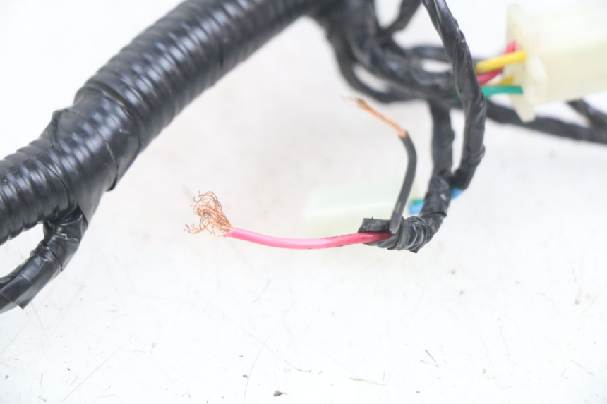 photo de WIRING HARNESS ORCAL CAVARO 4T 50 (2019 - 2023)