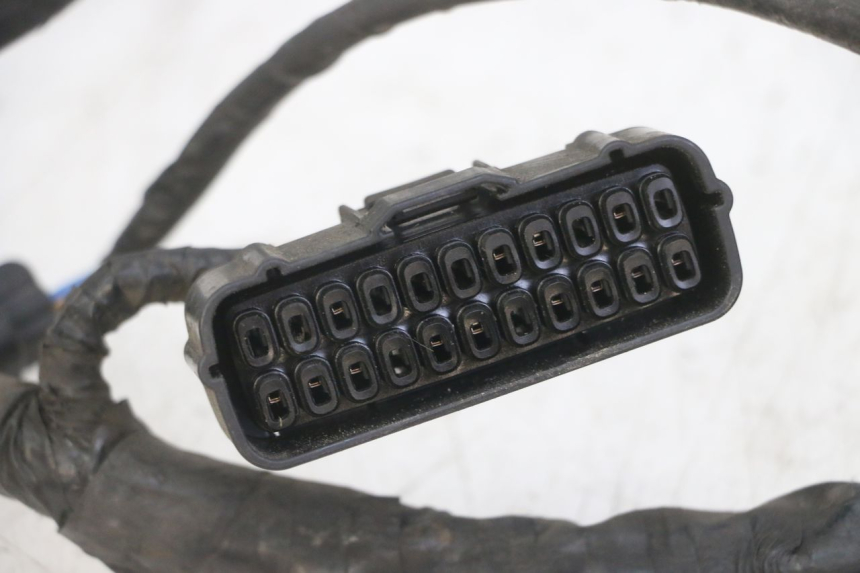 photo de WIRING HARNESS HONDA CBF 500 (2004 - 2007)