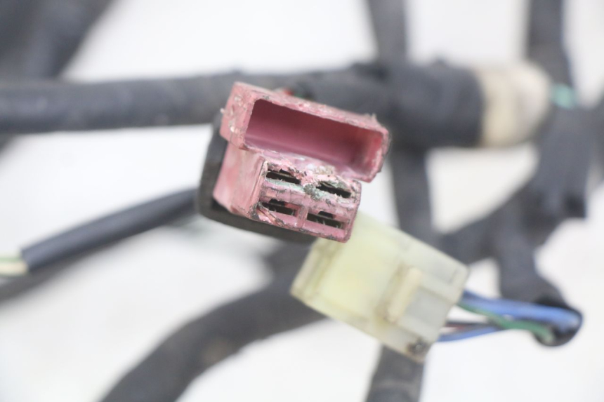 photo de WIRING HARNESS HONDA CBR F SC25 1000 (1989 - 1992)
