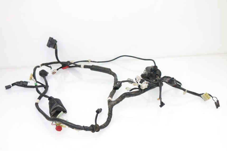 photo de WIRE HARNESS HONDA CBR R 125 (2011 - 2016)