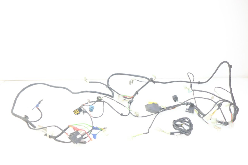 photo de WIRING HARNESS PEUGEOT CITYSTAR 2T 50 (2018 - 2021)