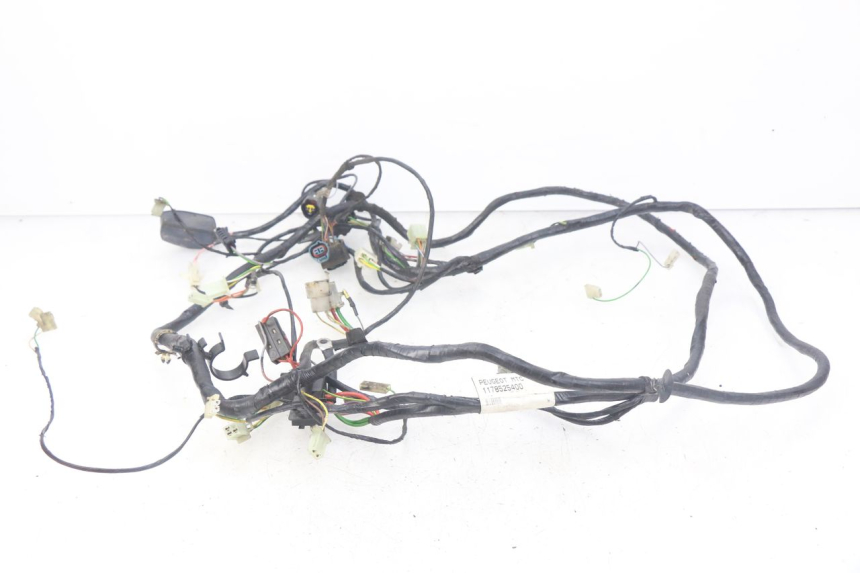 photo de WIRING HARNESS PEUGEOT CITYSTAR 50 (2013 - 2017)